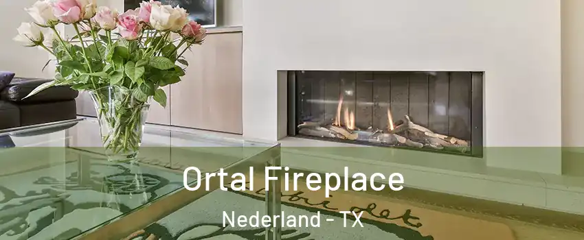 Ortal Fireplace Nederland - TX